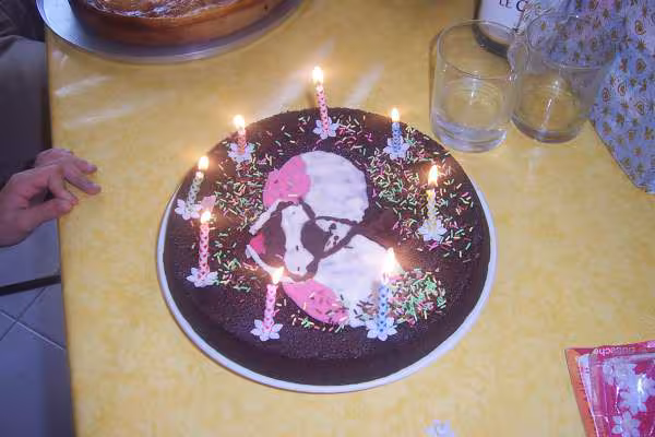 Gateau diddl emmener a l ecole