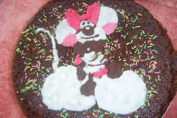 Gateau diddlina 8 ans