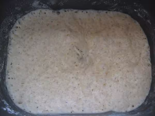 Poolish