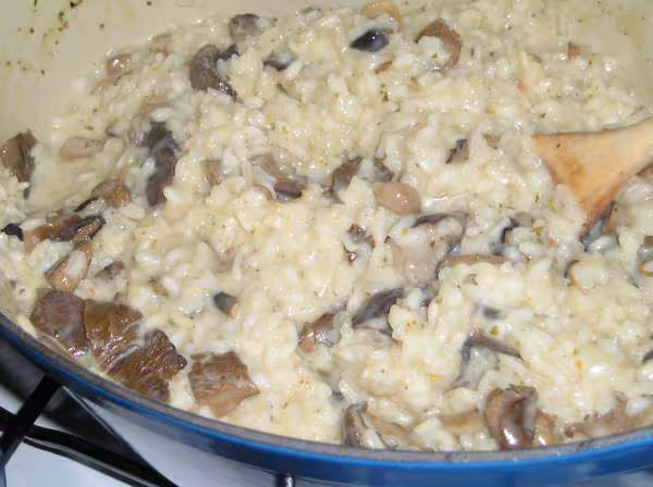 Risotto aux champignons