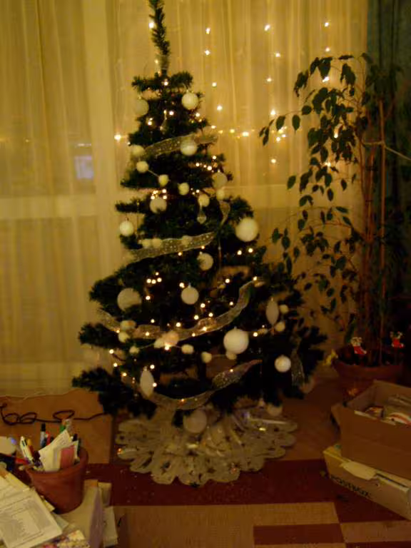 Sapin de noel blanc 05 1