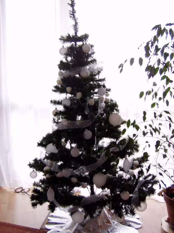 Sapin de noel blanc 2005 2