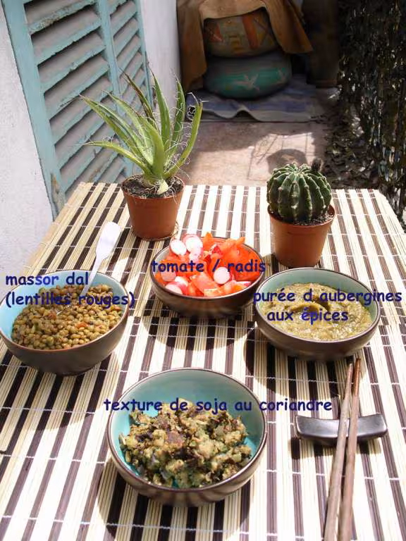 18 05 05 massor dal salade tomate baigan bharta boulette de soja