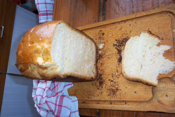 Brioche