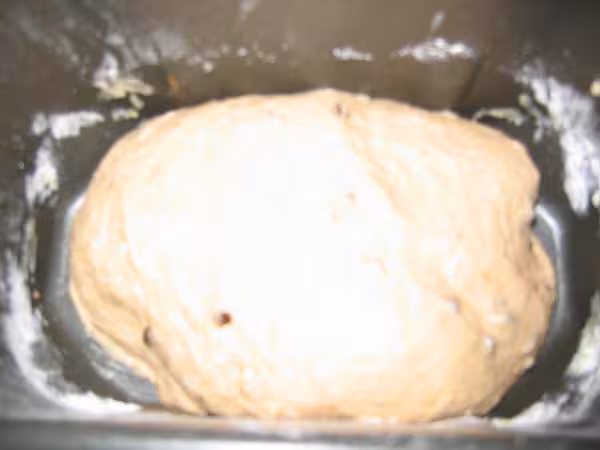 Le paton