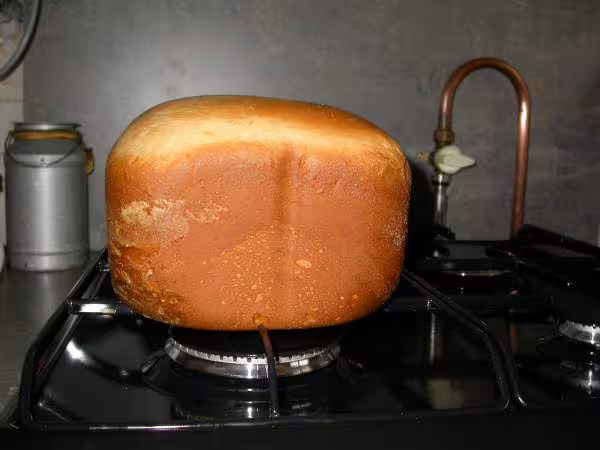 Brioche legere de lona