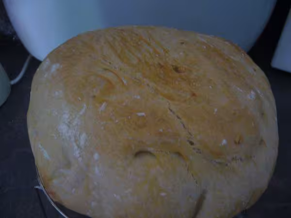 Pain cocotte vue du dessus