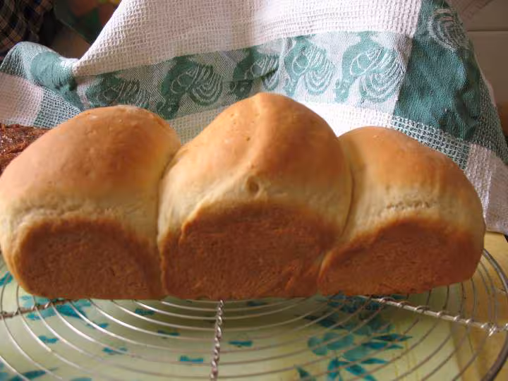 Brioche vegetalienne