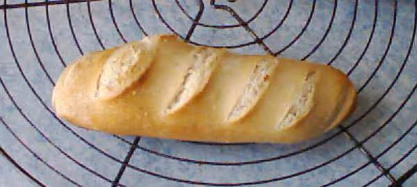 Essai congelation
