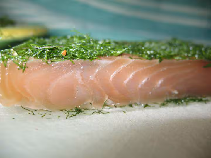 Gravlax en coupe