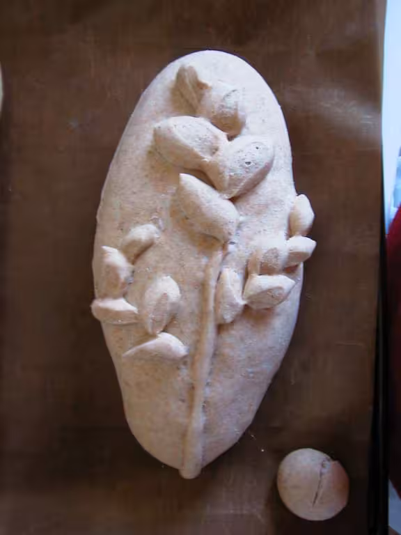 Levee pain epis au levain fermentescible