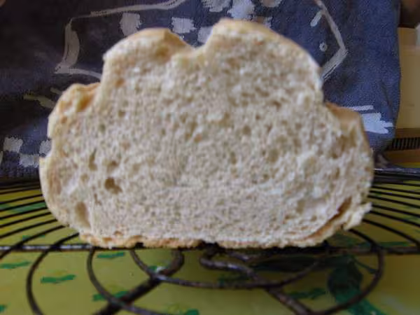 Mie pain brie
