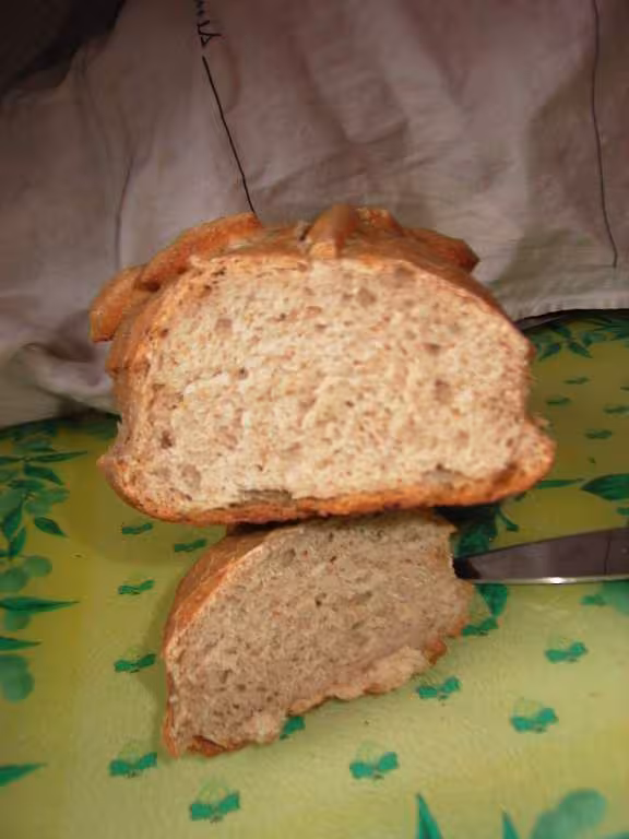 Mie pain semi complet au levain fermentescible