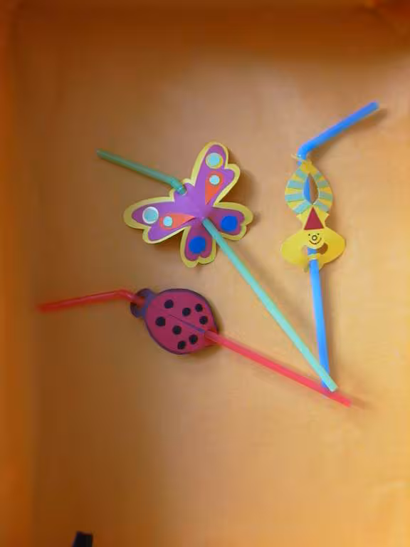 Pailles decorees pour 3 ans