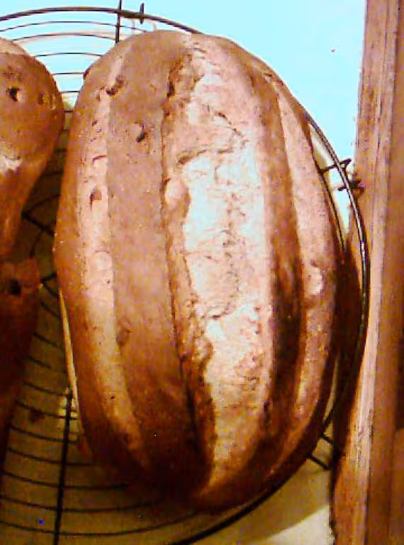 Pain aux figues et aux dattes de capucine