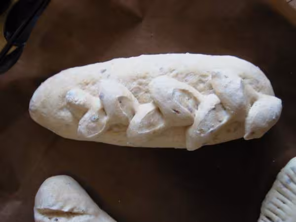 Pain epis 1