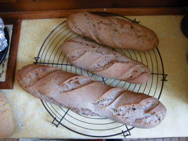 Pains a la chataigne et aux dattes