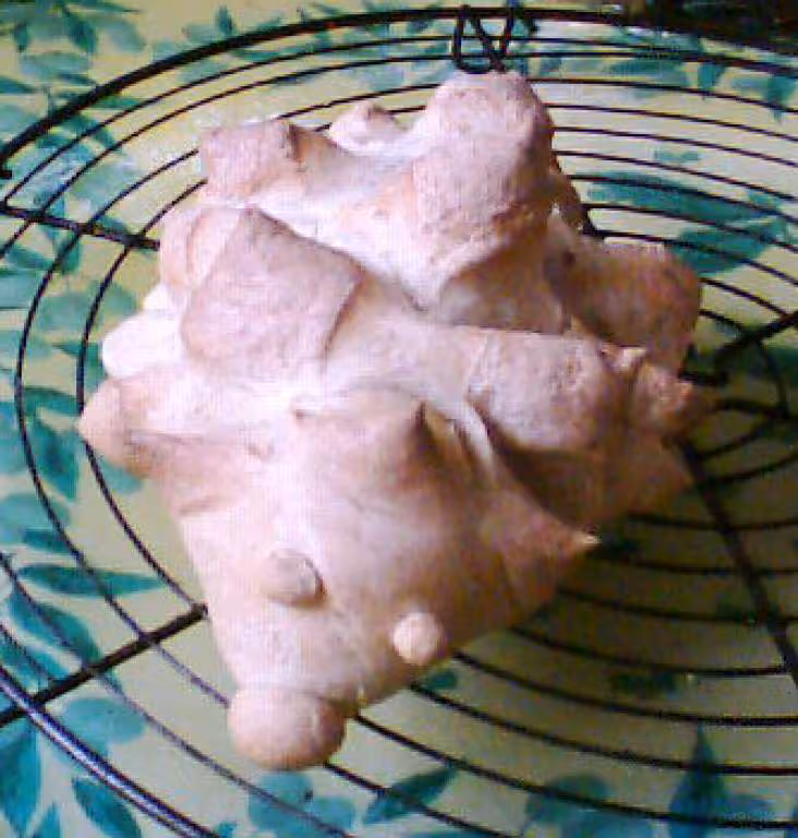 Petit pain herisson