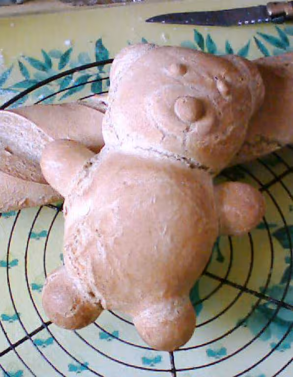 Petit pain ourson