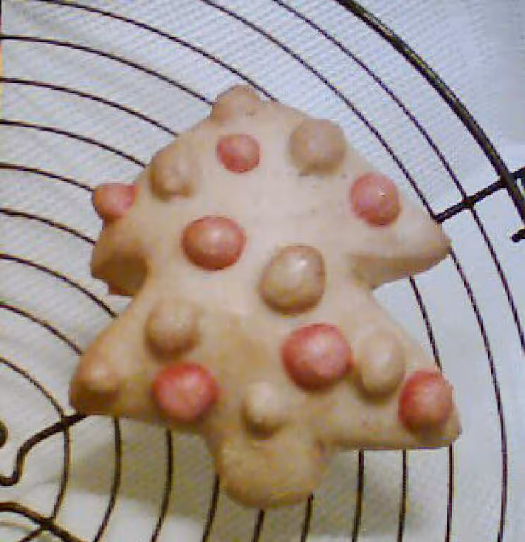 Sapin