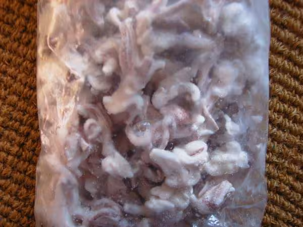 Tetes et pattes de calmar surgeles