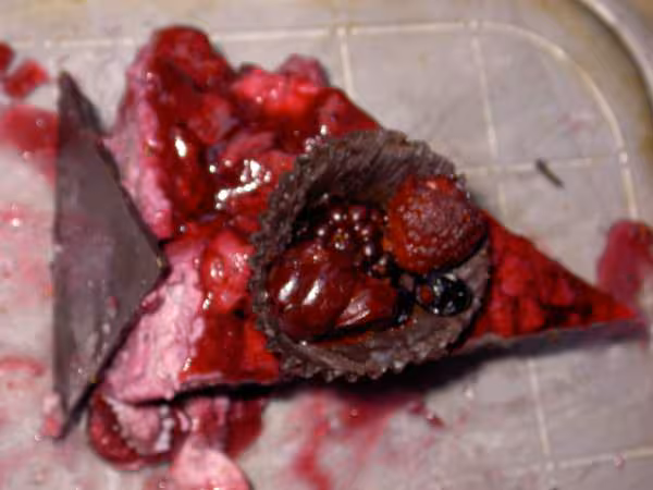Nid d amour aux fruits rouges