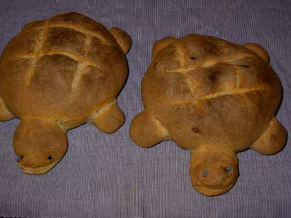 Pains tortues