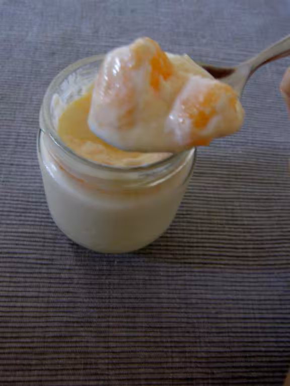 Yaourt au melon