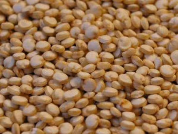 Graines de quinoa