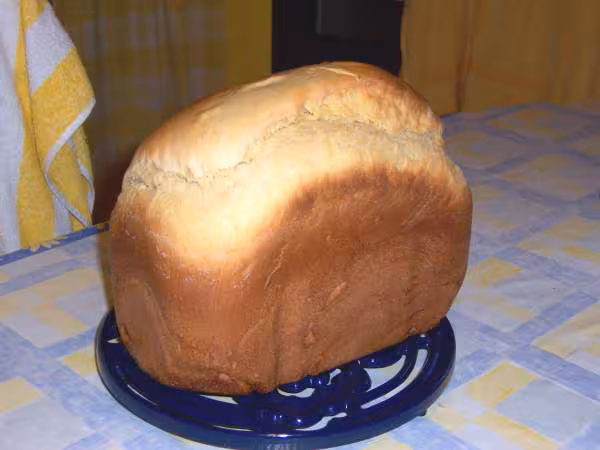 Brioche aux yaourts