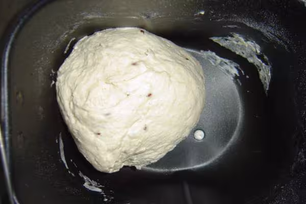 Le paton farines et eau