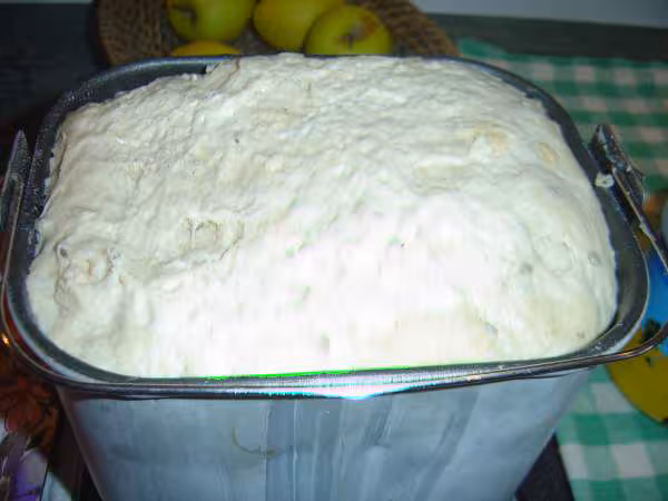Paton pain cocotte avc levure kely react nuit frigo