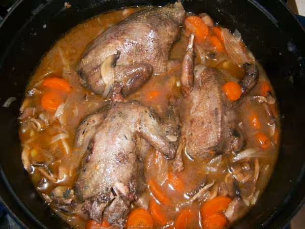 Pigeon en cocotte