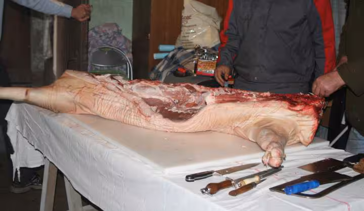 Le cochon