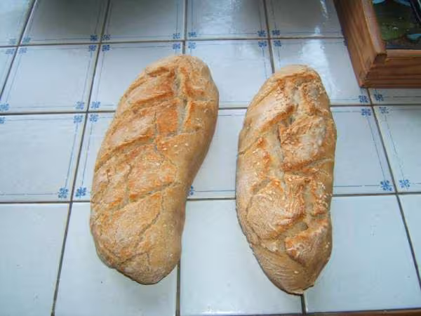 Deux petits batard