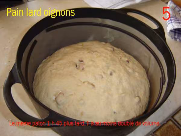 Lard oignon 5