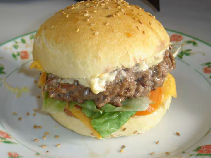 Hamburger