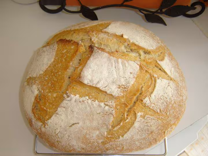 Premier pain au levain