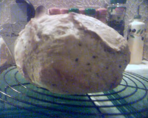 1er pain de campagne en cocotte pyrex