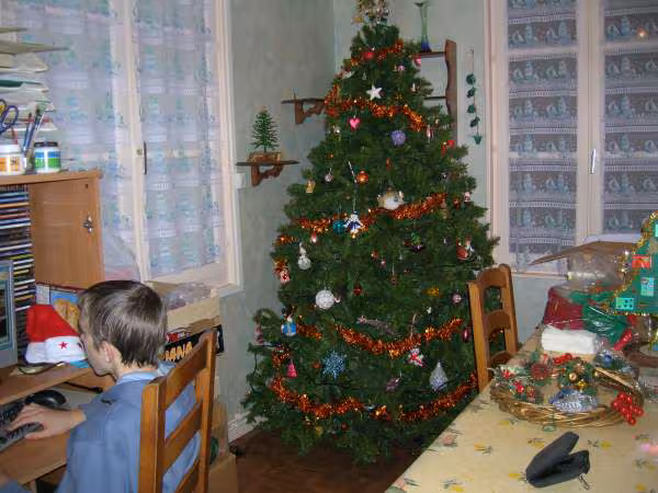 Mon sapin