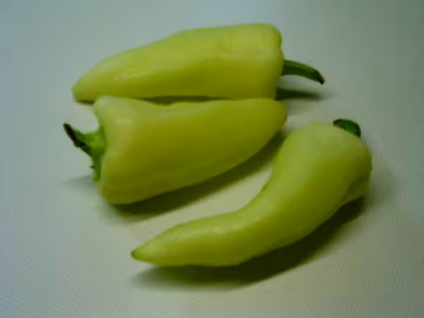 Paprika frais