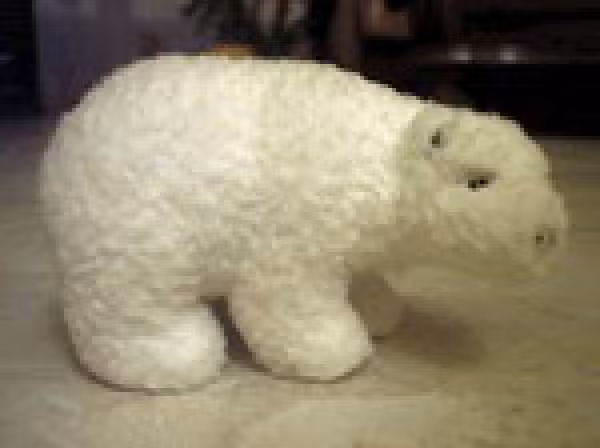 Ours polaire