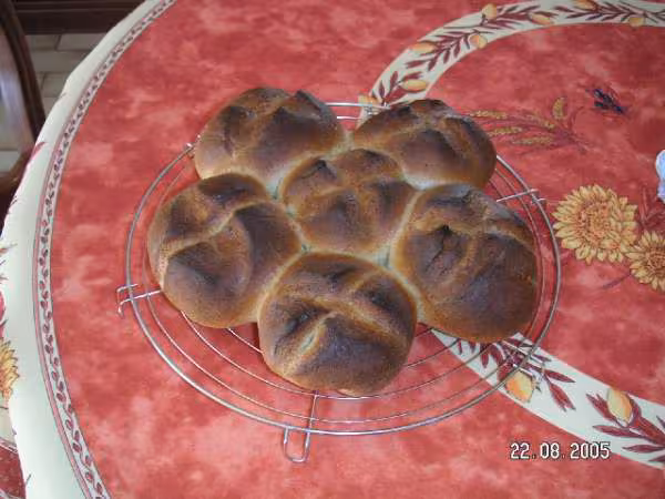 Pain en marguerite
