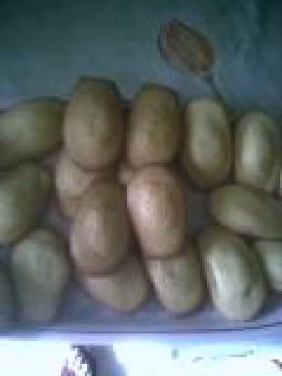 Mes 1eres madeleines