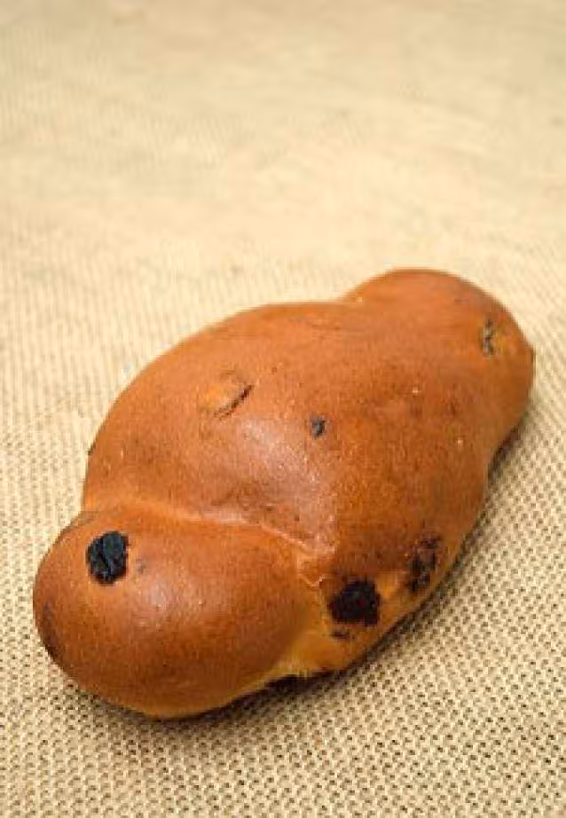 Cougnou