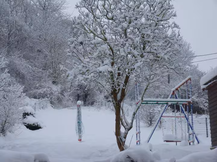 Neige