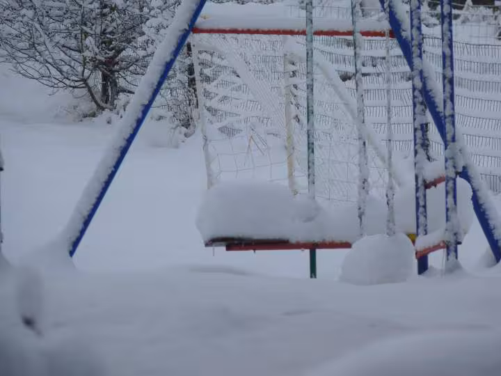Neige