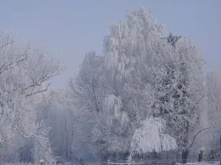 Neige