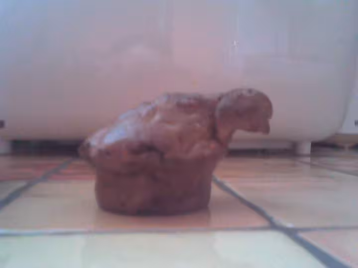 Carot cake au nutnut