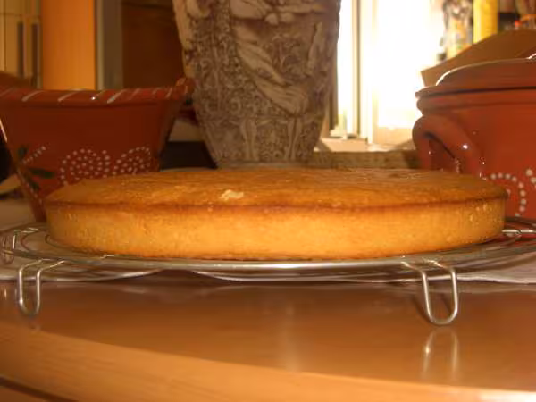 Gateau au ricard 2
